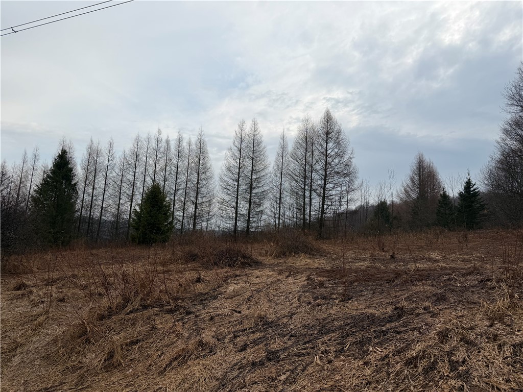 0 Co Highway Hartwick, NY 13348 - Photo 11 of 25