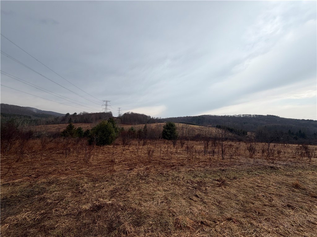 0 Co Highway Hartwick, NY 13348 - Photo 12 of 25