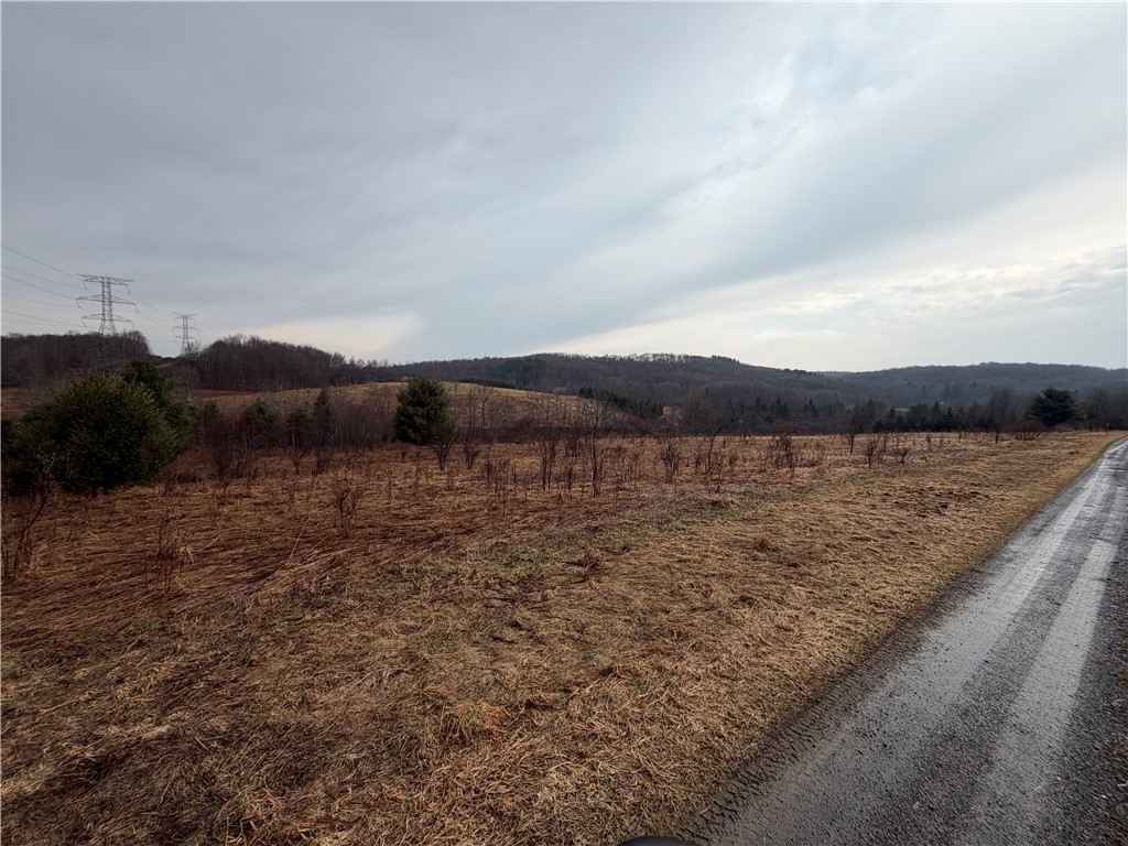0 Co Highway Hartwick, NY 13348 - Photo 13 of 25