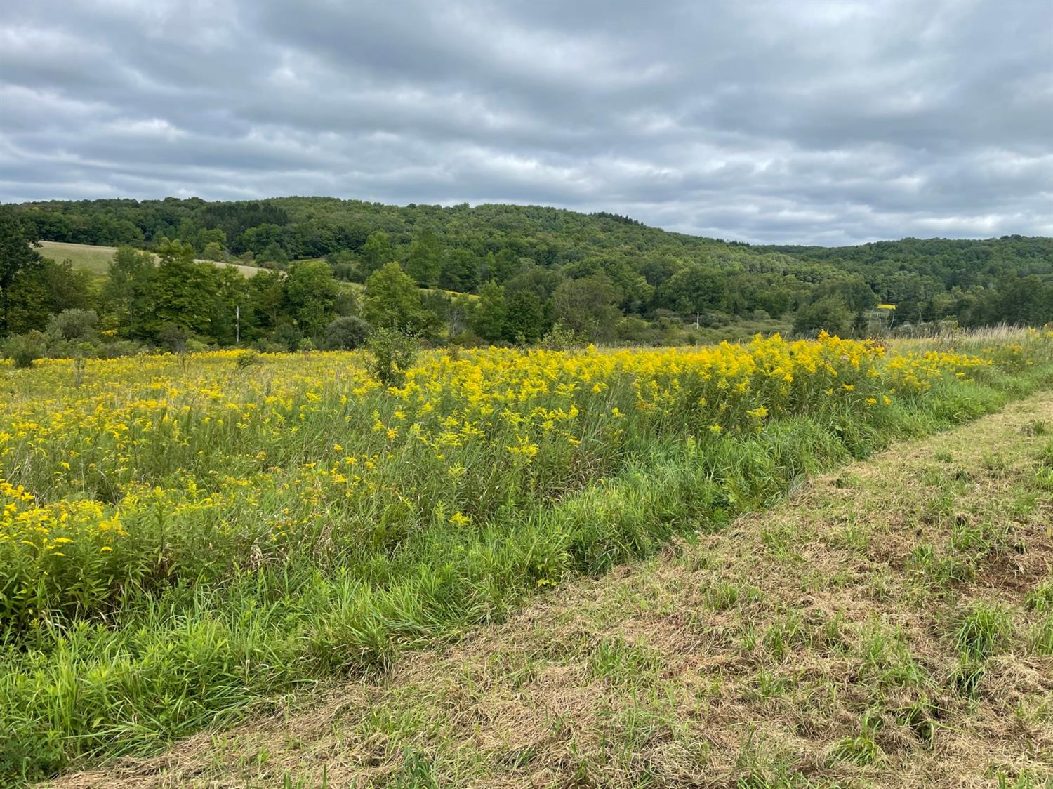 0 Co Highway Hartwick, NY 13348 - Photo 15 of 25