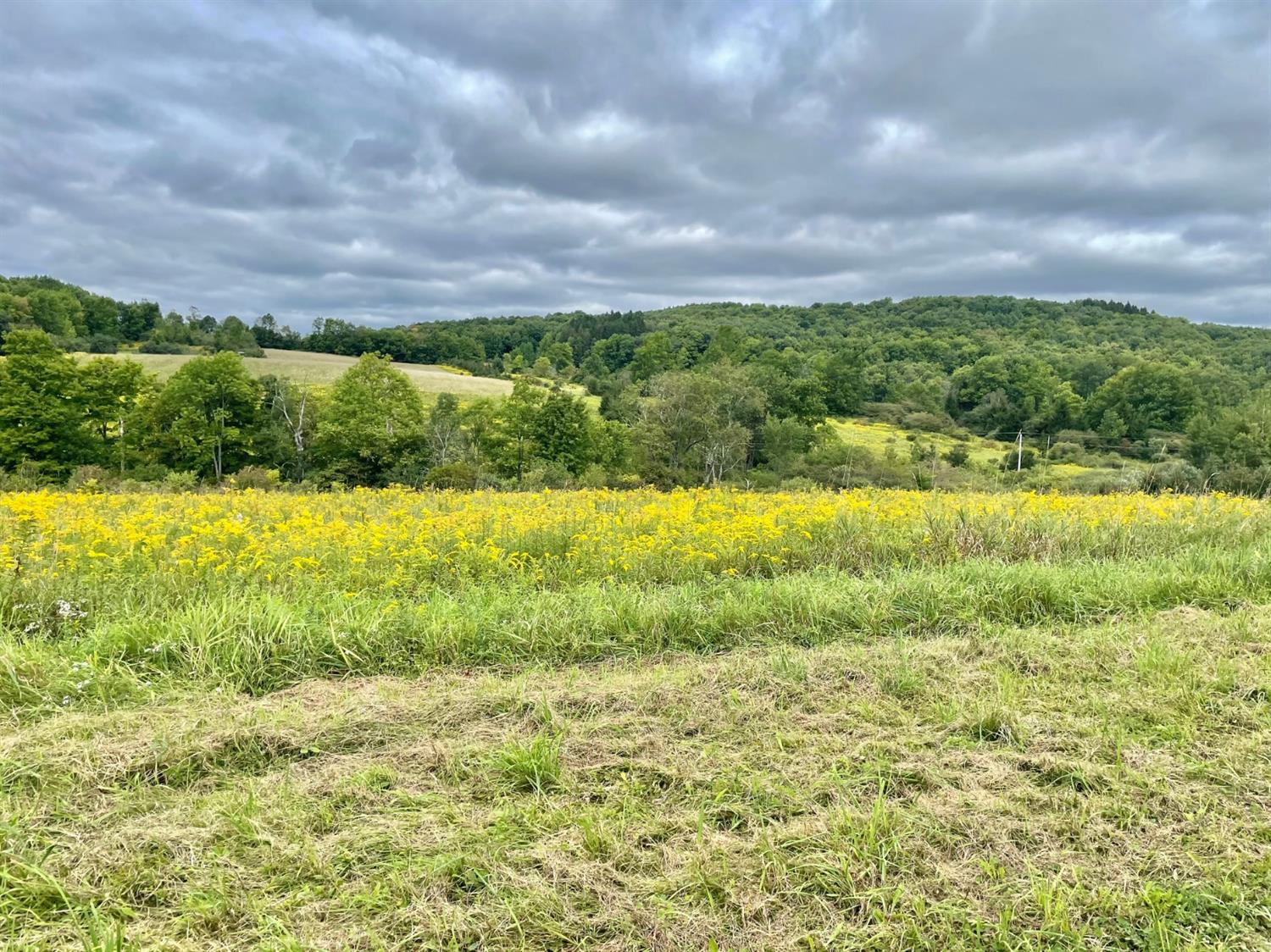 0 Co Highway Hartwick, NY 13348 - Photo 16 of 25