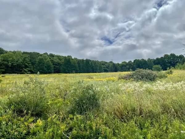 $59,000 | 0 Co Highway, Hartwick, NY 13348