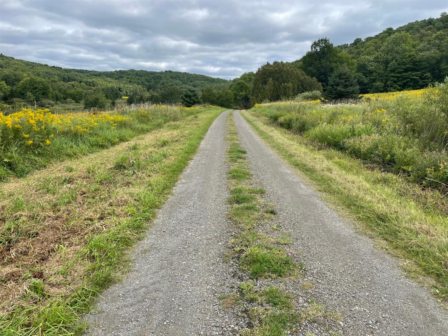0 Co Highway Hartwick, NY 13348 - Photo 19 of 25