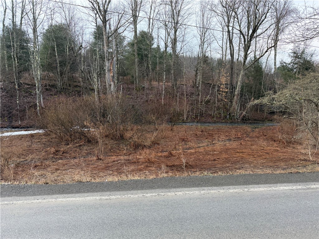 0 Co Highway Hartwick, NY 13348 - Photo 2 of 25