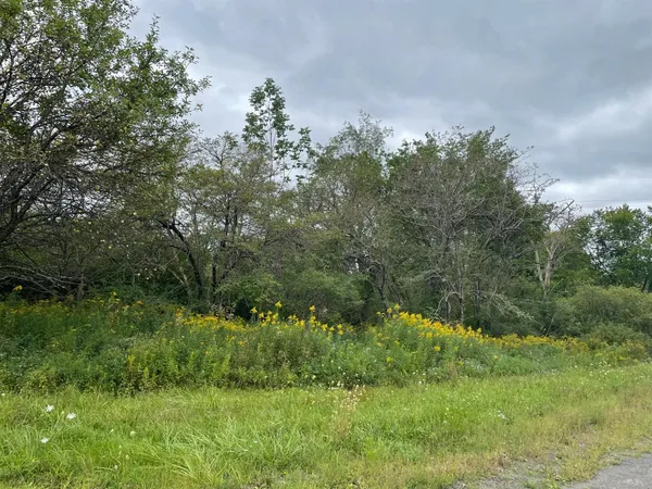 $59,000 | 0 Co Highway, Hartwick, NY 13348