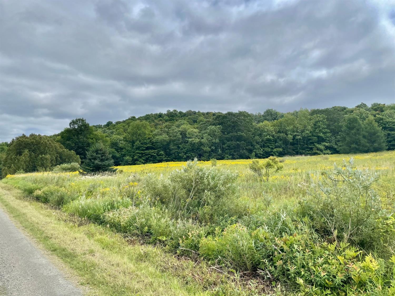 0 Co Highway Hartwick, NY 13348 - Photo 24 of 25