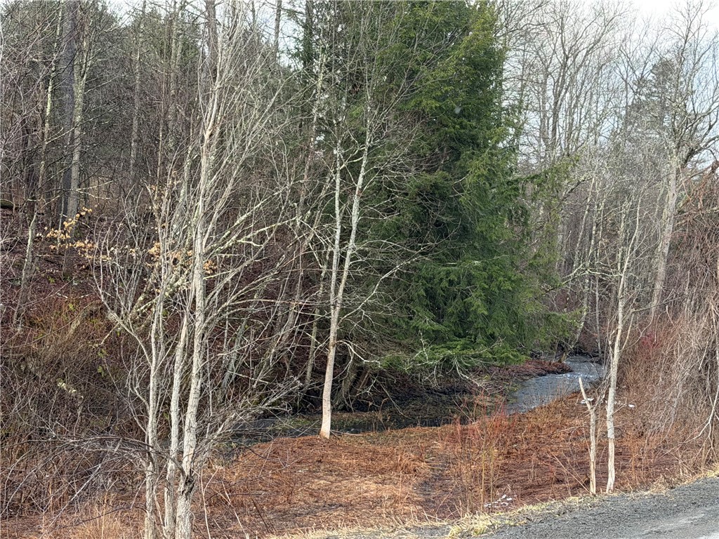 0 Co Highway Hartwick, NY 13348 - Photo 6 of 25