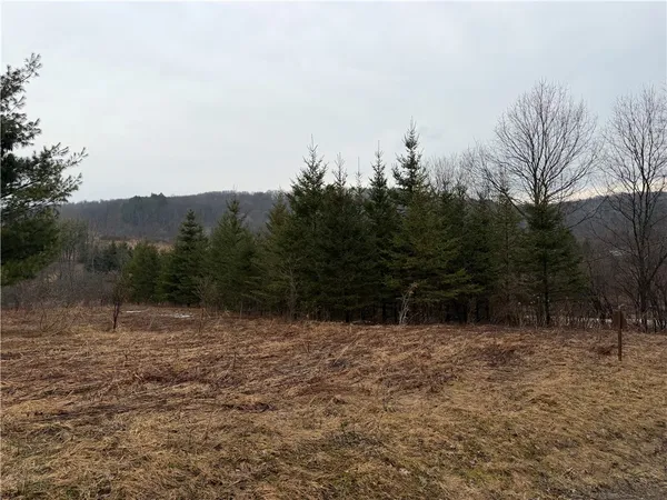 $59,000 | 0 Co Highway, Hartwick, NY 13348