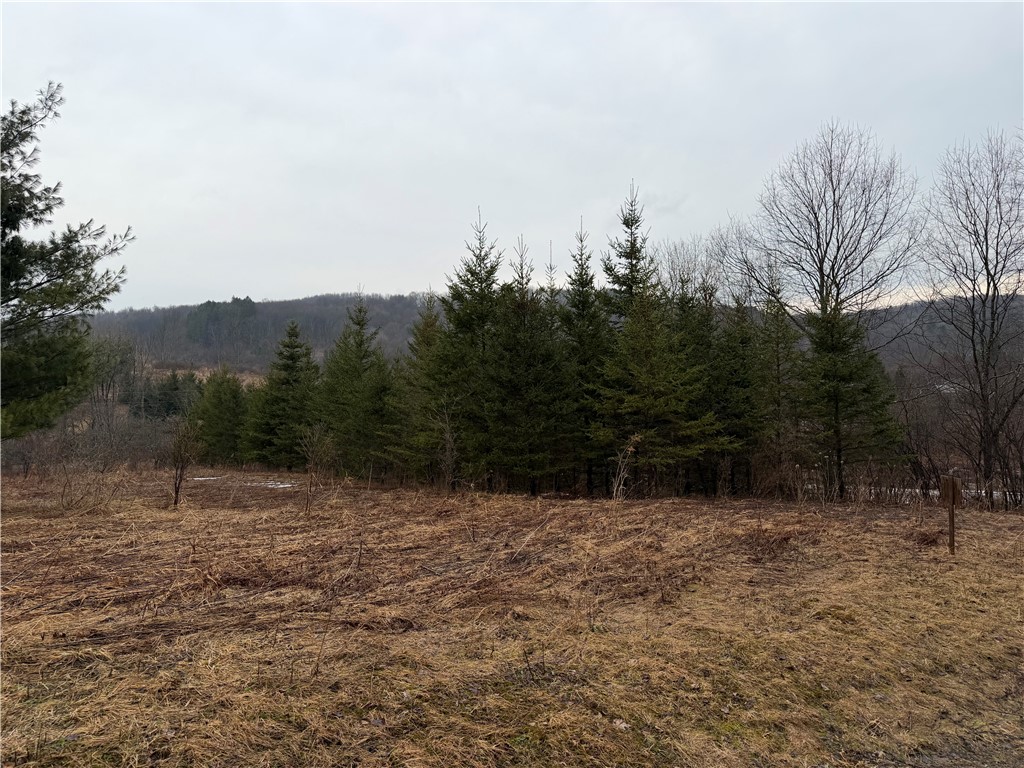 0 Co Highway Hartwick, NY 13348 - Photo 7 of 25