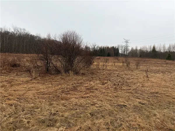 $59,000 | 0 Co Highway, Hartwick, NY 13348