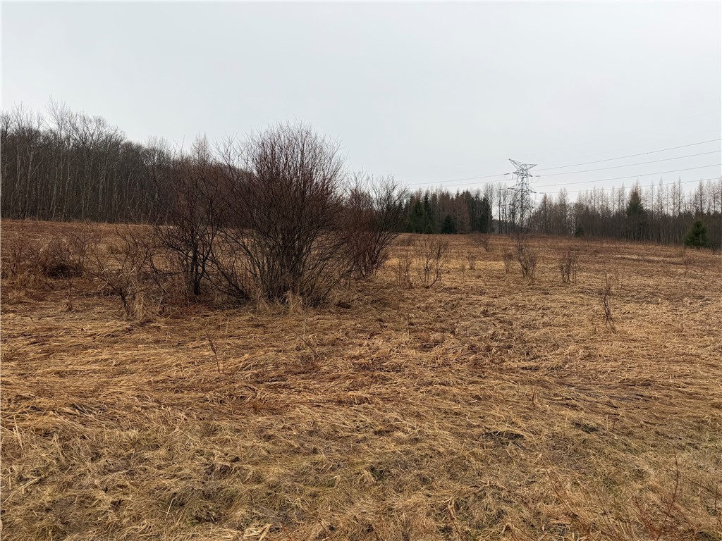 0 Co Highway Hartwick, NY 13348 - Photo 8 of 25