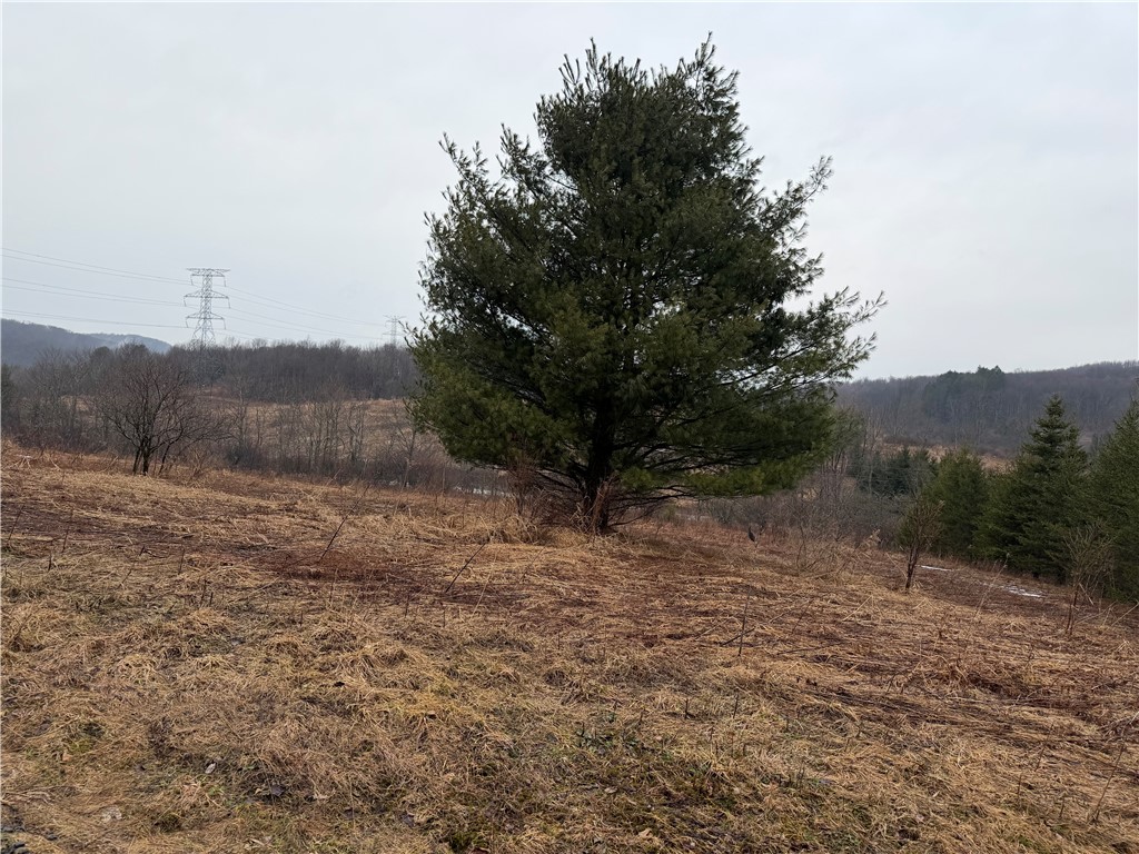 0 Co Highway Hartwick, NY 13348 - Photo 9 of 25