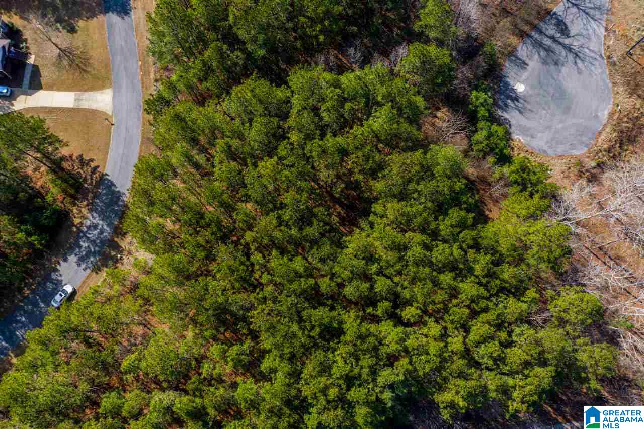 Cottage Square Loop Sylacauga, AL 35151 - Photo 3 of 11