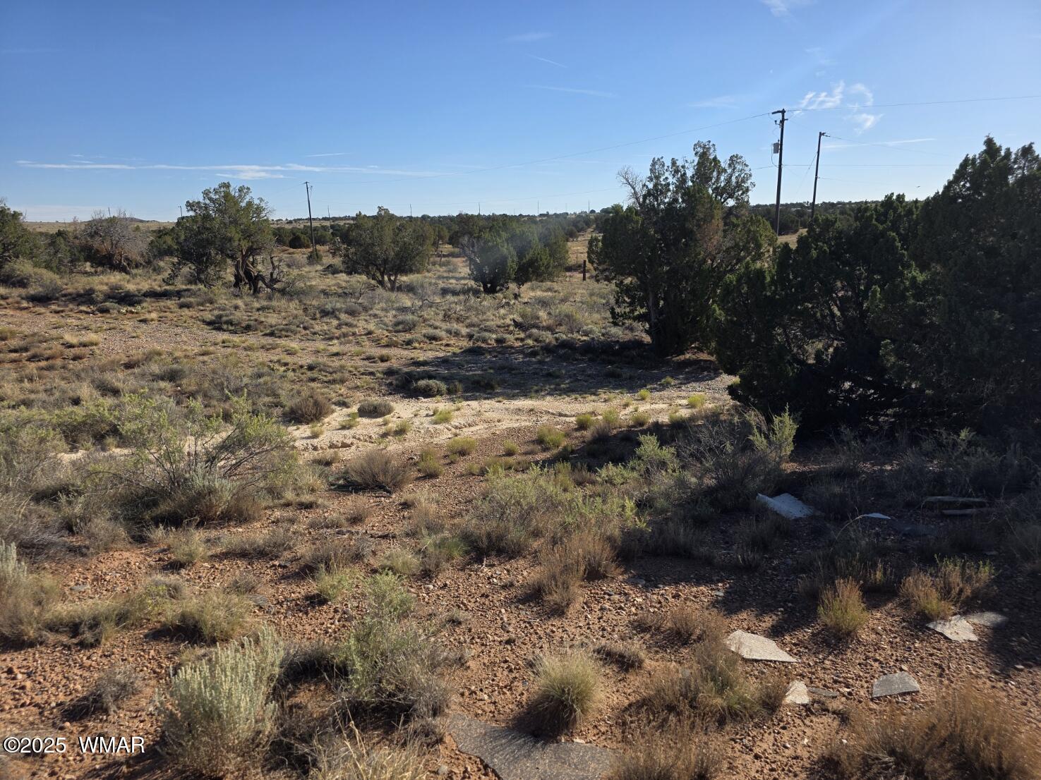 3736 Bum Heel Ranch Road Heber, AZ 85928 - Photo 8 of 46