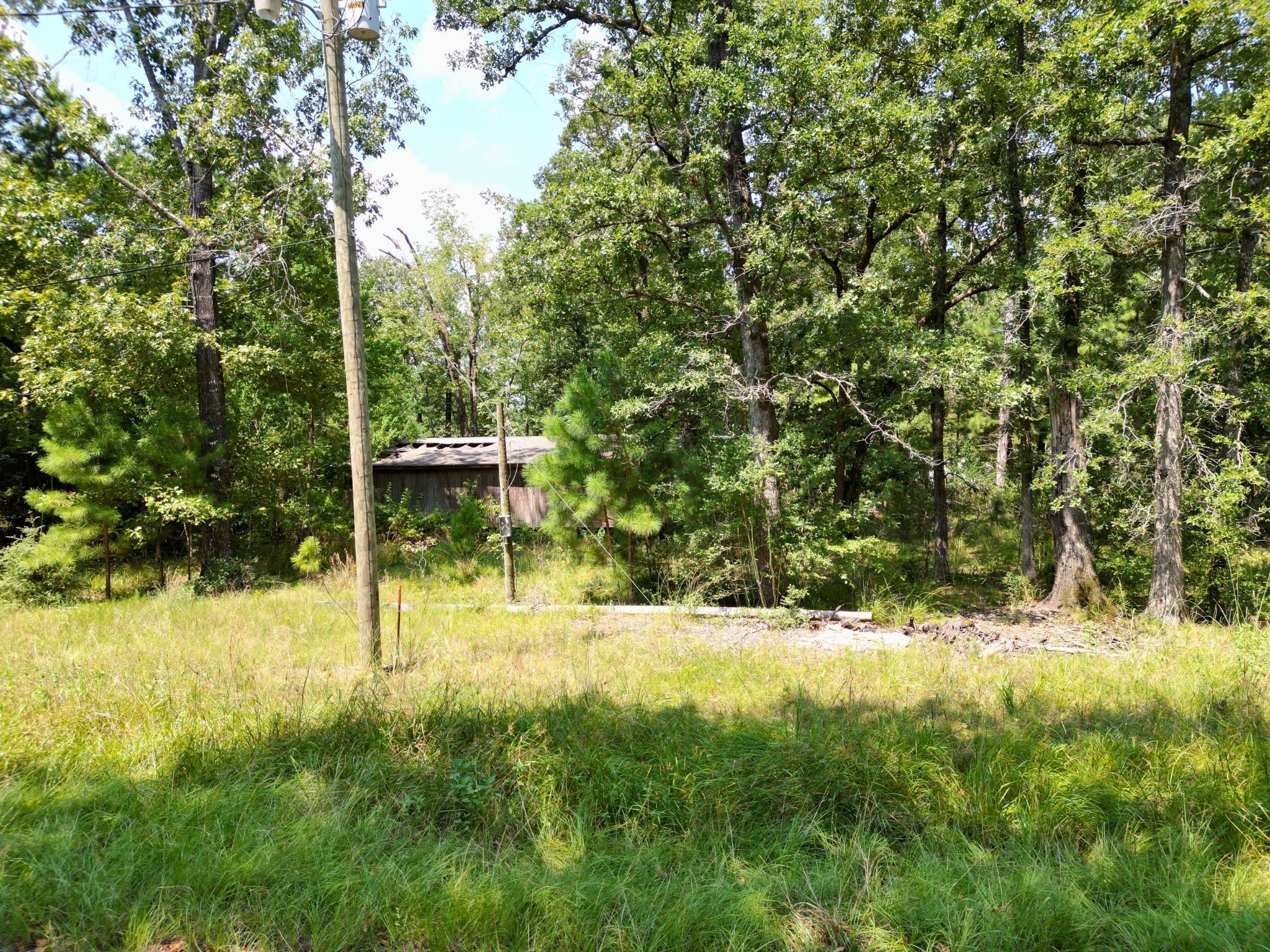 275 18th Street Trinity, TX 75862 - Photo 15 of 18 a view of a yard with a tree