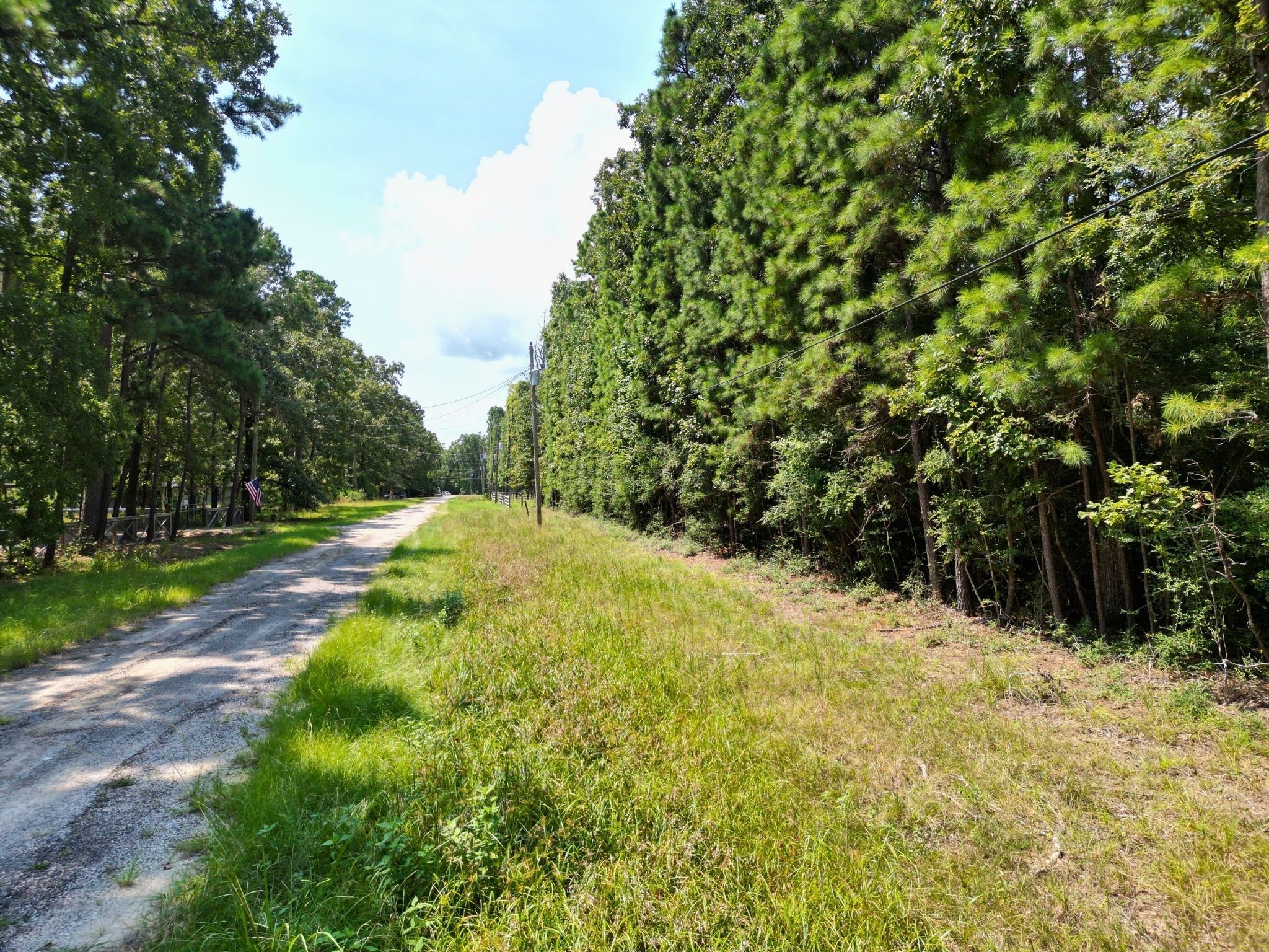 275 18th Street Trinity, TX 75862 - Photo 4 of 18 a view of backyard with green space