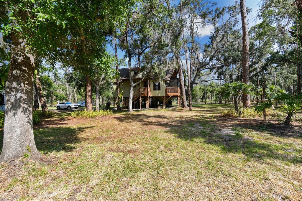 2853 Saffold Road Wimauma, FL 33598 - Photo 15 of 62 a view of road with trees