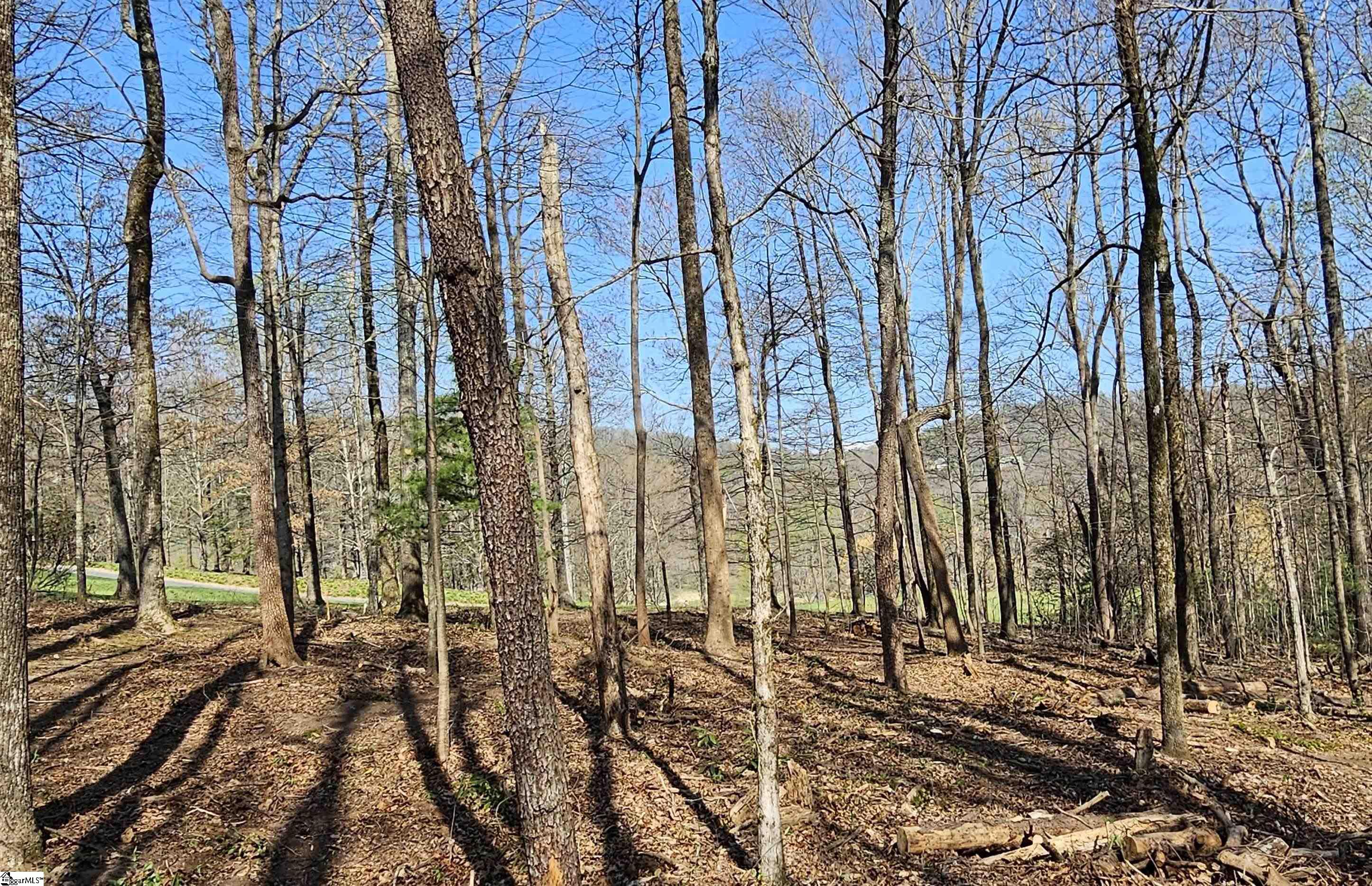 66 The Cliffs Parkway Landrum, SC 29356 - Photo 10 of 20