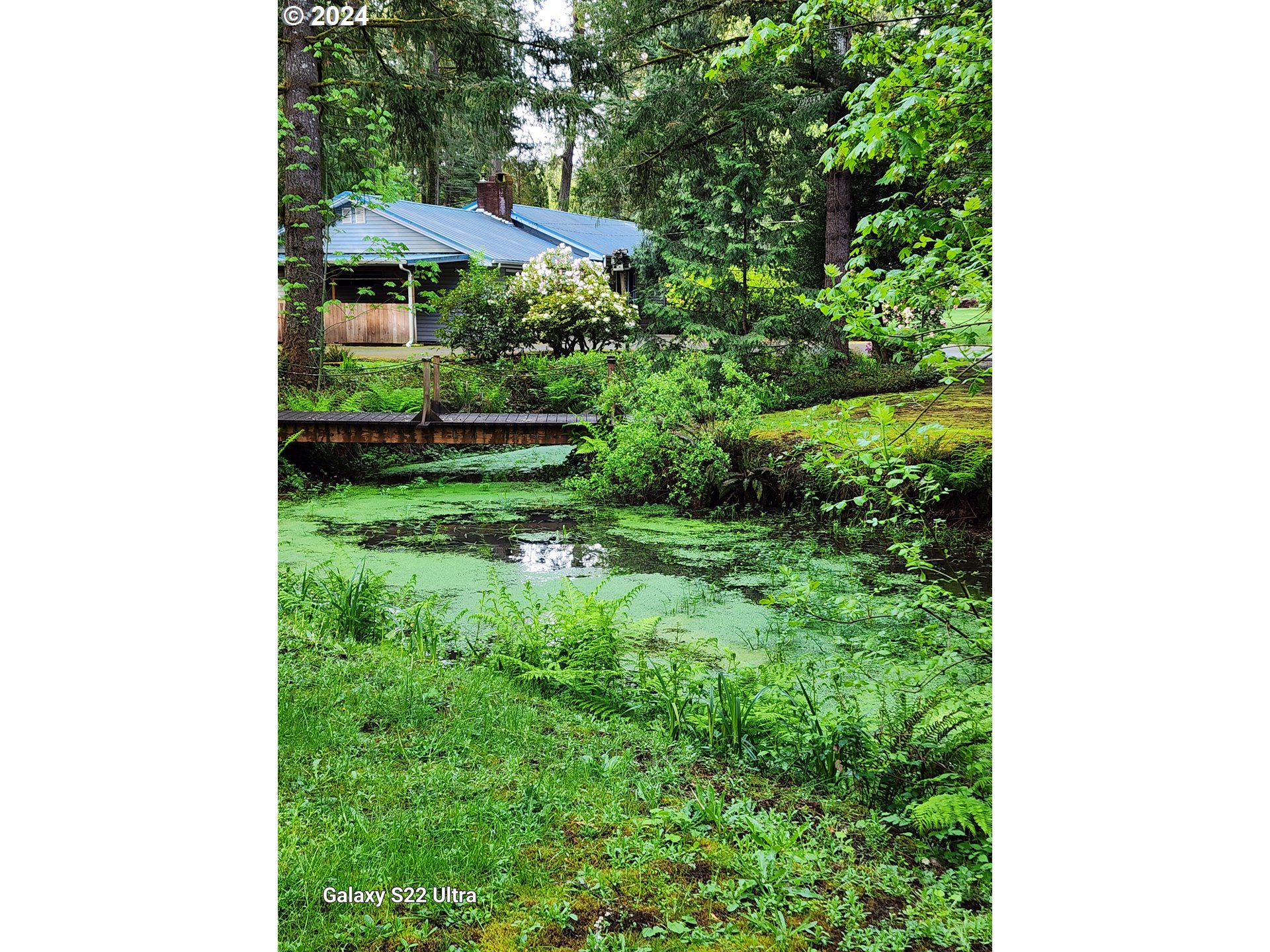 19216 South Neil Road Estacada, OR 97023 - Photo 27 of 33 a view of a backyard with plants