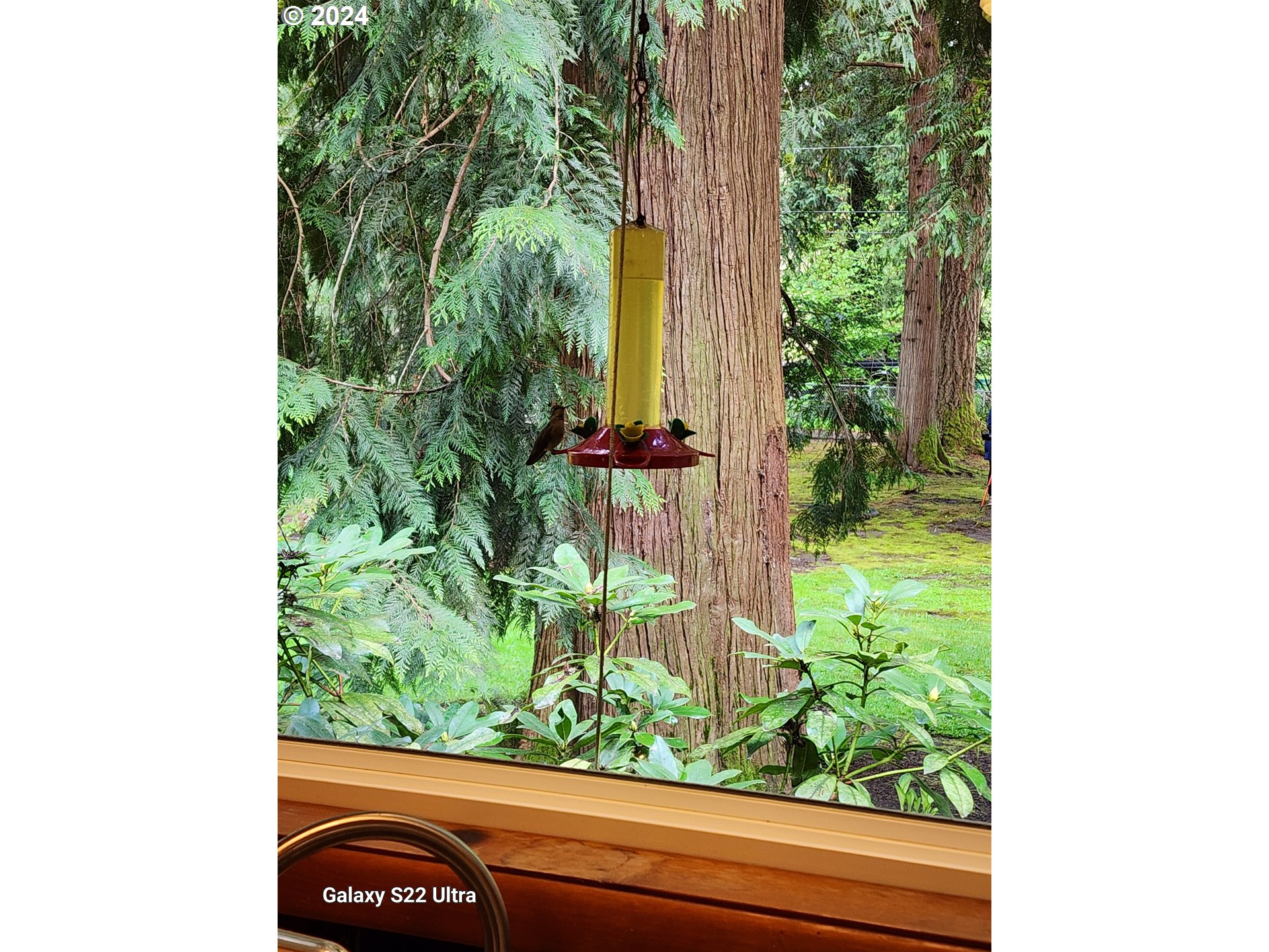 19216 South Neil Road Estacada, OR 97023 - Photo 9 of 33 a view of a garden from a window