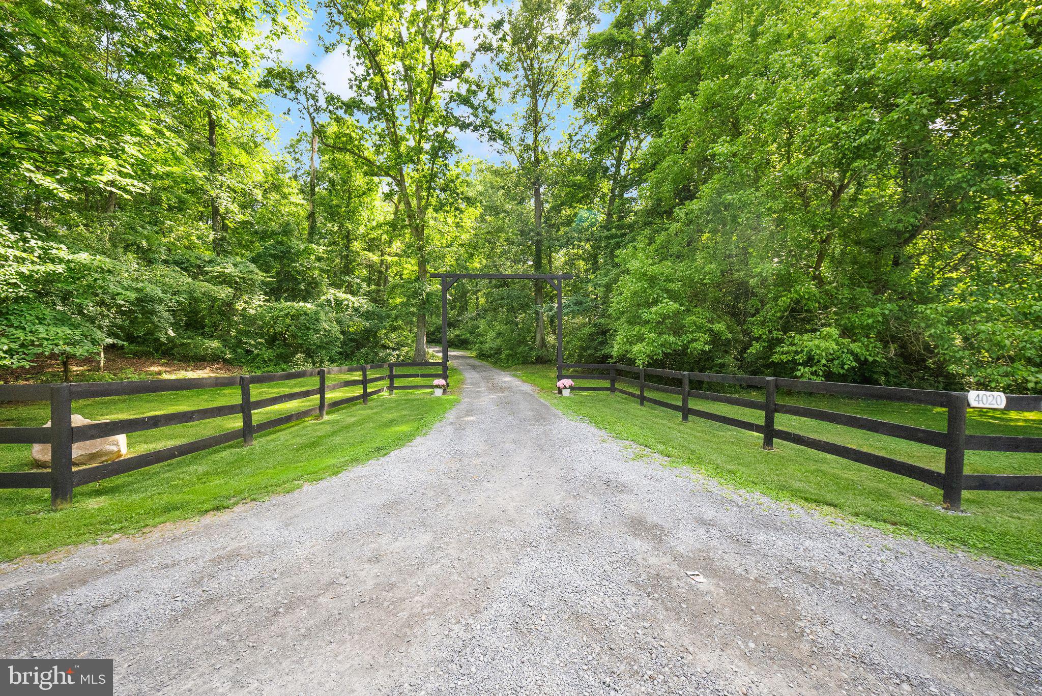 4020 Millwood Road Boyce, VA 22620 - Photo 105 of 132 Winding entrance offers exceptional curb appeal.