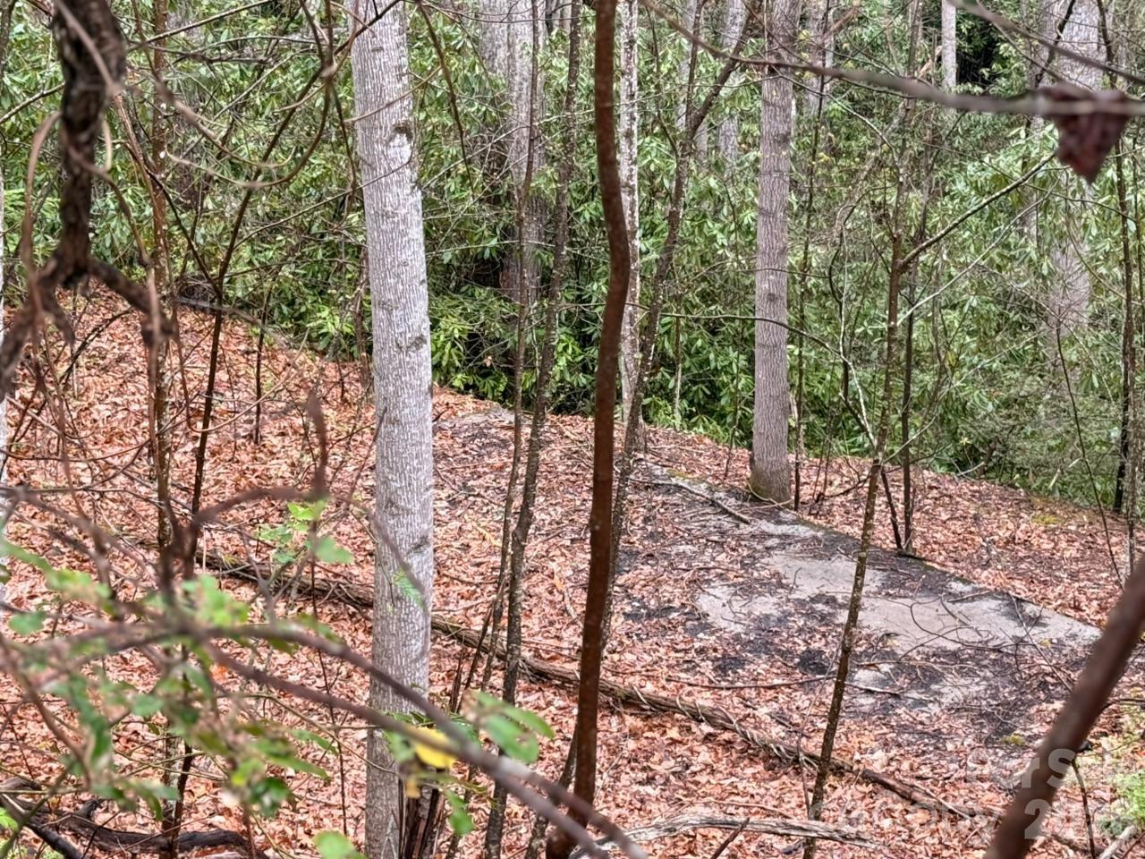 0 Ridgeview Hill Drive Hendersonville, NC 28792 - Photo 11 of 20 a view of a forest with trees