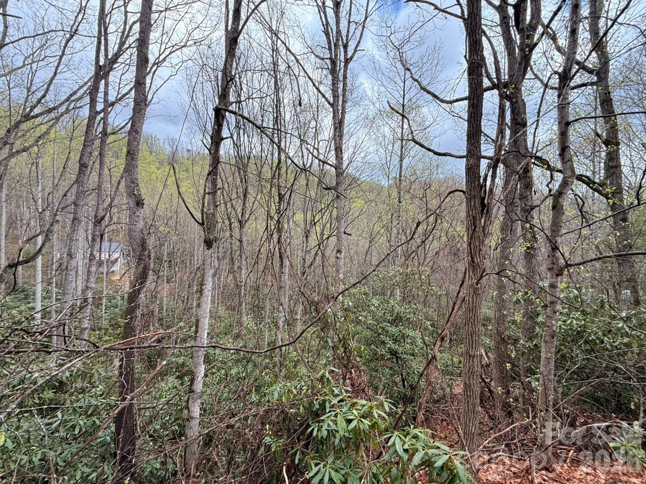 0 Ridgeview Hill Drive Hendersonville, NC 28792 - Photo 12 of 20 a view of a yard with a tree