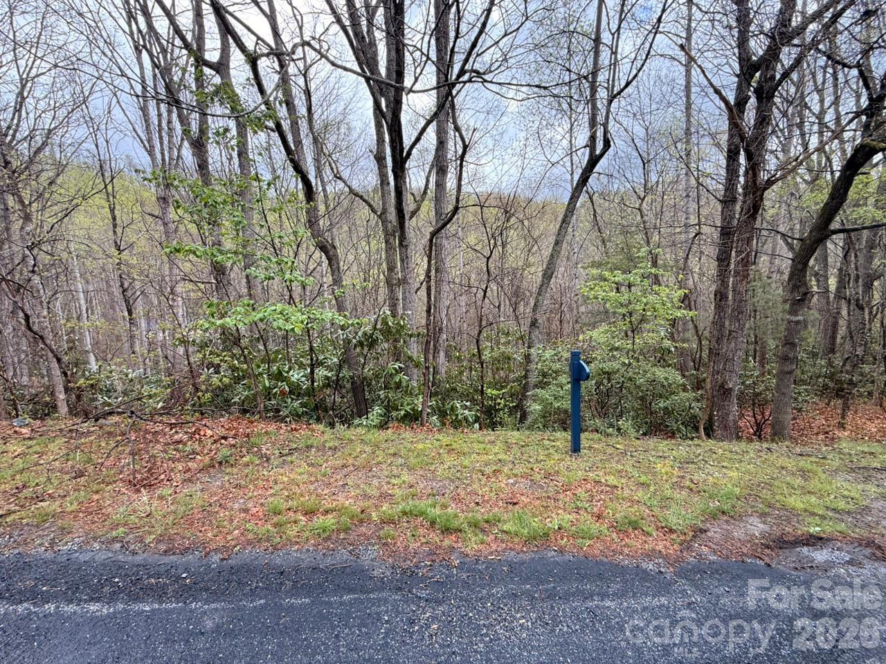 0 Ridgeview Hill Drive Hendersonville, NC 28792 - Photo 14 of 20 a view of a yard with a tree