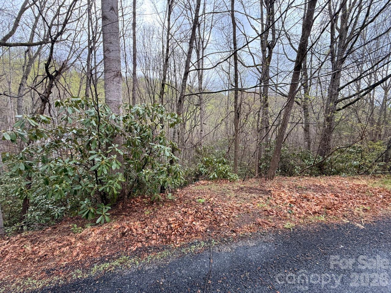 0 Ridgeview Hill Drive Hendersonville, NC 28792 - Photo 14 of 22