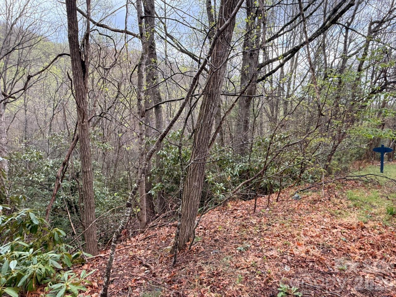 0 Ridgeview Hill Drive Hendersonville, NC 28792 - Photo 15 of 20 a pathway of a yard
