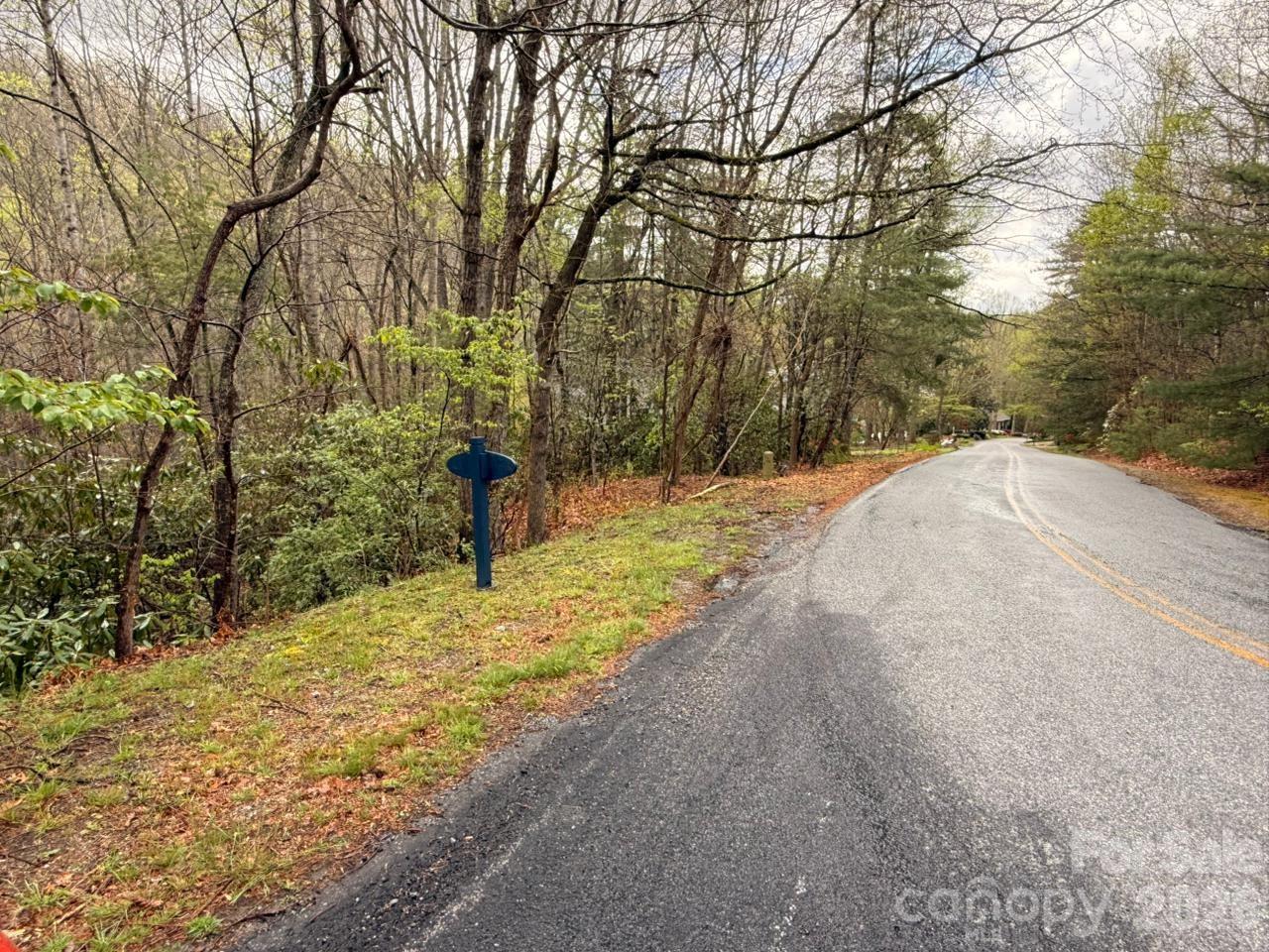 0 Ridgeview Hill Drive Hendersonville, NC 28792 - Photo 16 of 20 a view of a yard with a tree