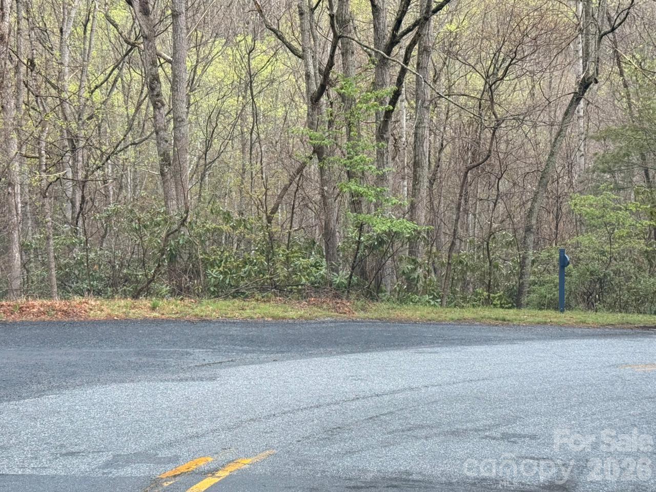 0 Ridgeview Hill Drive Hendersonville, NC 28792 - Photo 17 of 20 a view of a yard with a trees