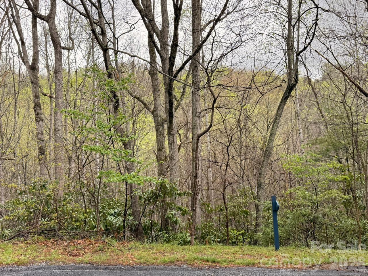 0 Ridgeview Hill Drive Hendersonville, NC 28792 - Photo 19 of 22