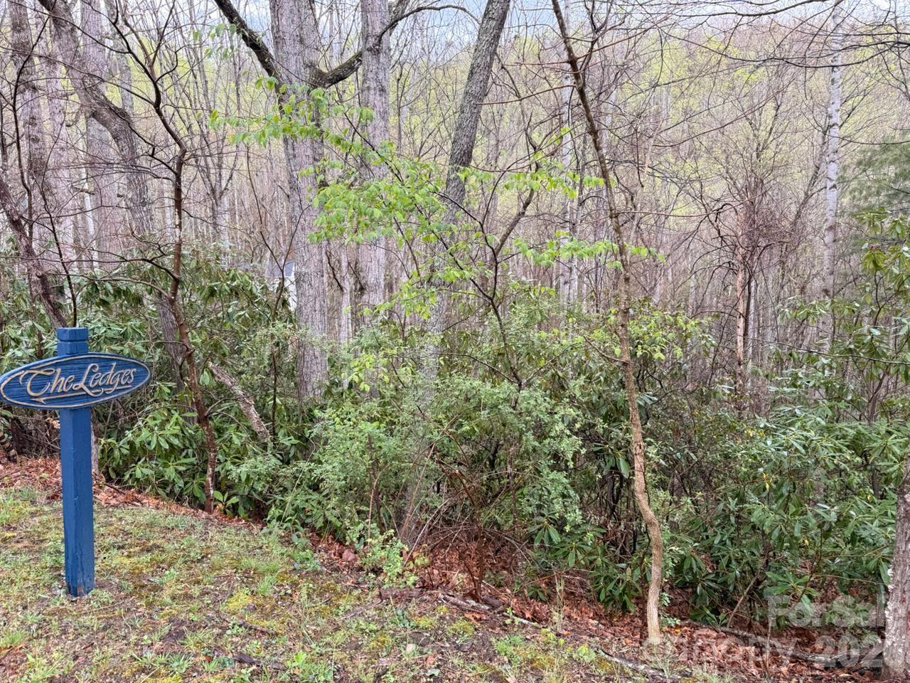 0 Ridgeview Hill Drive Hendersonville, NC 28792 - Photo 2 of 22