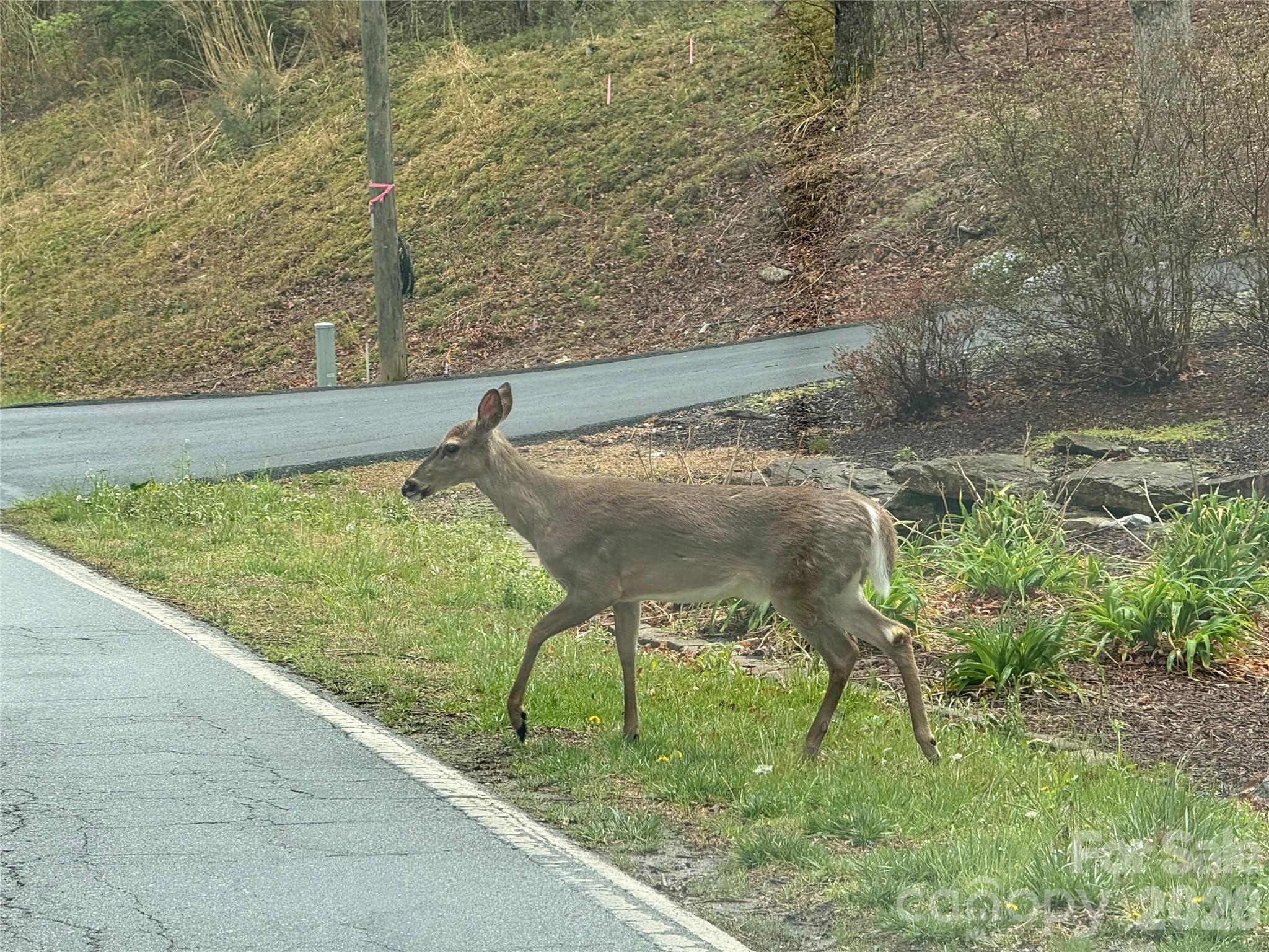 0 Ridgeview Hill Drive Hendersonville, NC 28792 - Photo 21 of 22