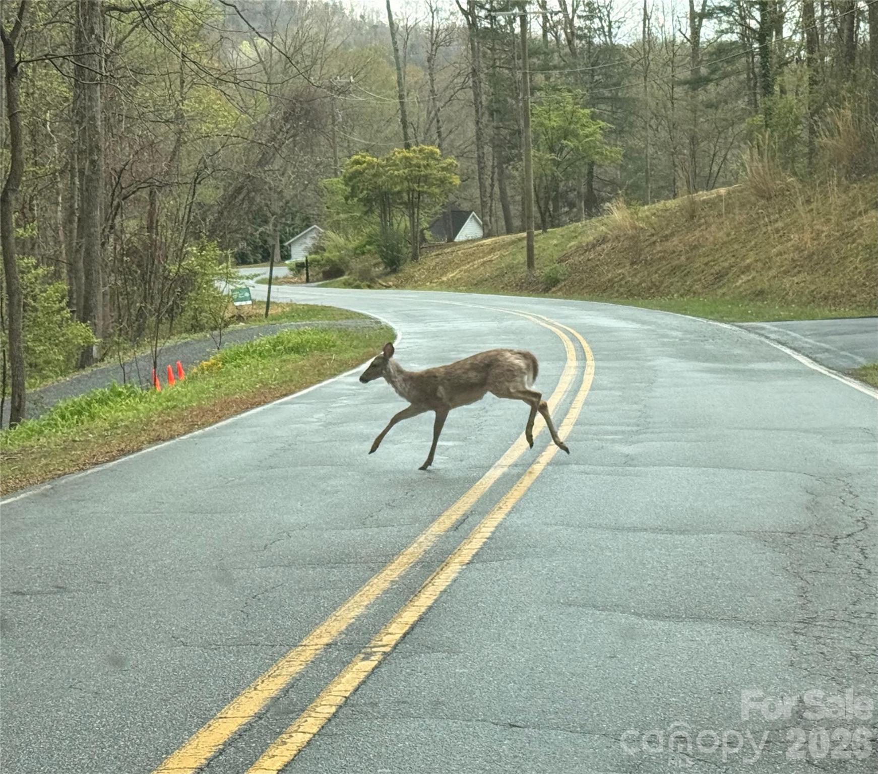 0 Ridgeview Hill Drive Hendersonville, NC 28792 - Photo 22 of 22