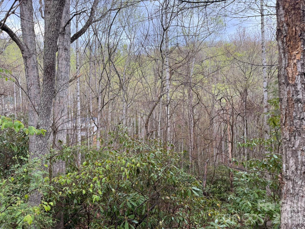 0 Ridgeview Hill Drive Hendersonville, NC 28792 - Photo 3 of 22