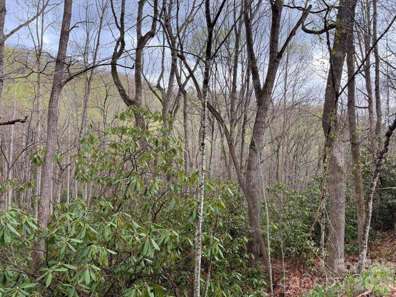 0 Ridgeview Hill Drive Hendersonville, NC 28792 - Photo 4 of 20 a backyard of a house with lots of green space and chair