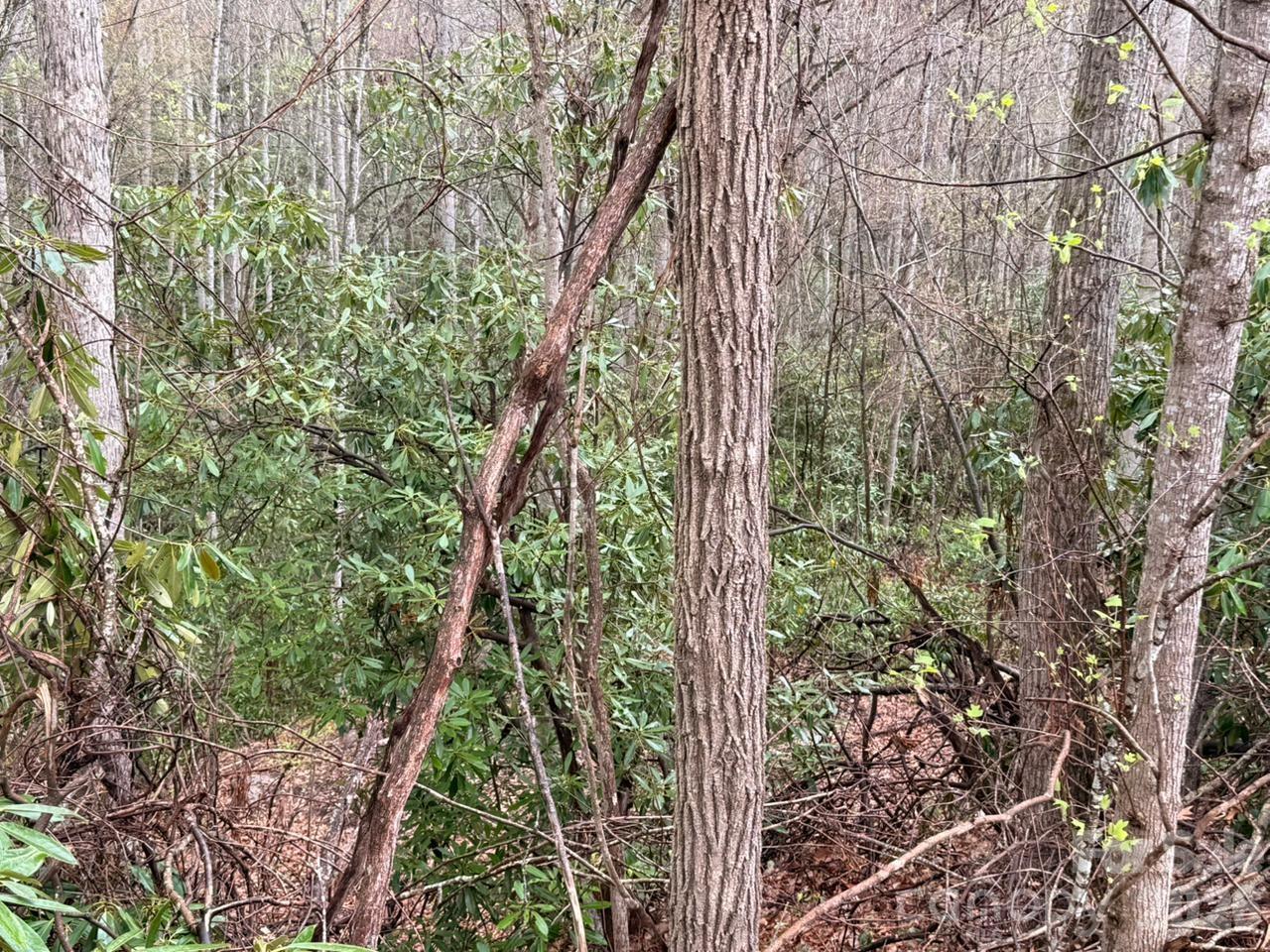 0 Ridgeview Hill Drive Hendersonville, NC 28792 - Photo 4 of 22