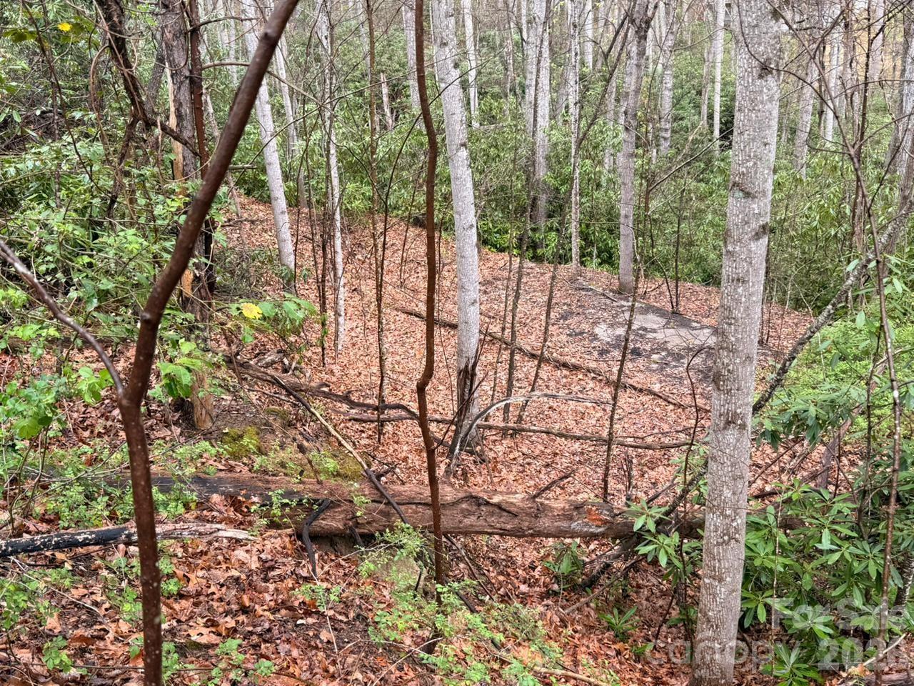 0 Ridgeview Hill Drive Hendersonville, NC 28792 - Photo 7 of 22