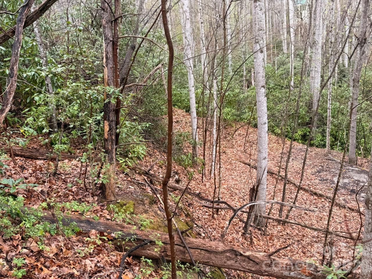 0 Ridgeview Hill Drive Hendersonville, NC 28792 - Photo 9 of 22