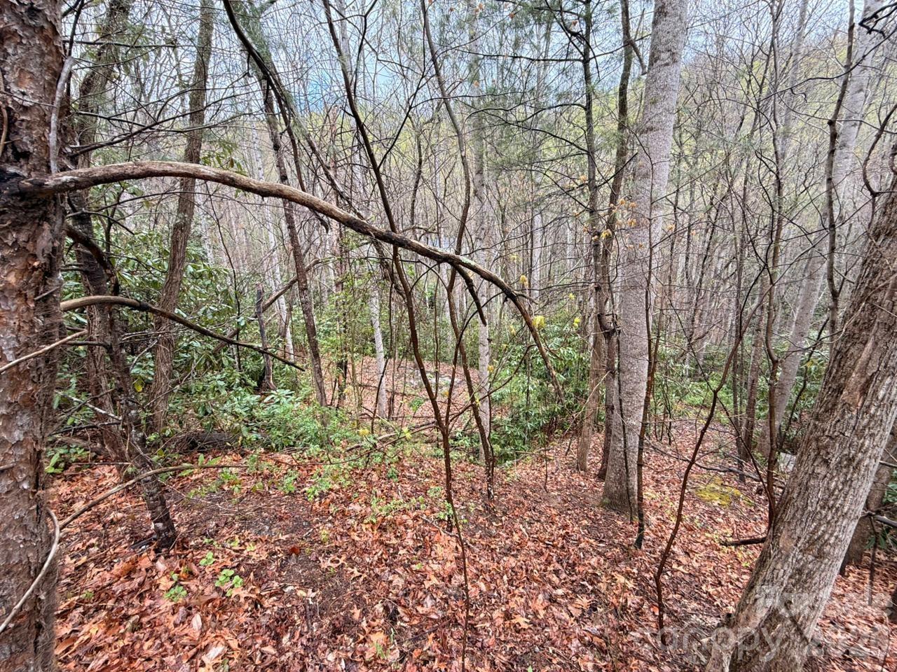 0 Ridgeview Hill Drive Hendersonville, NC 28792 - Photo 10 of 22