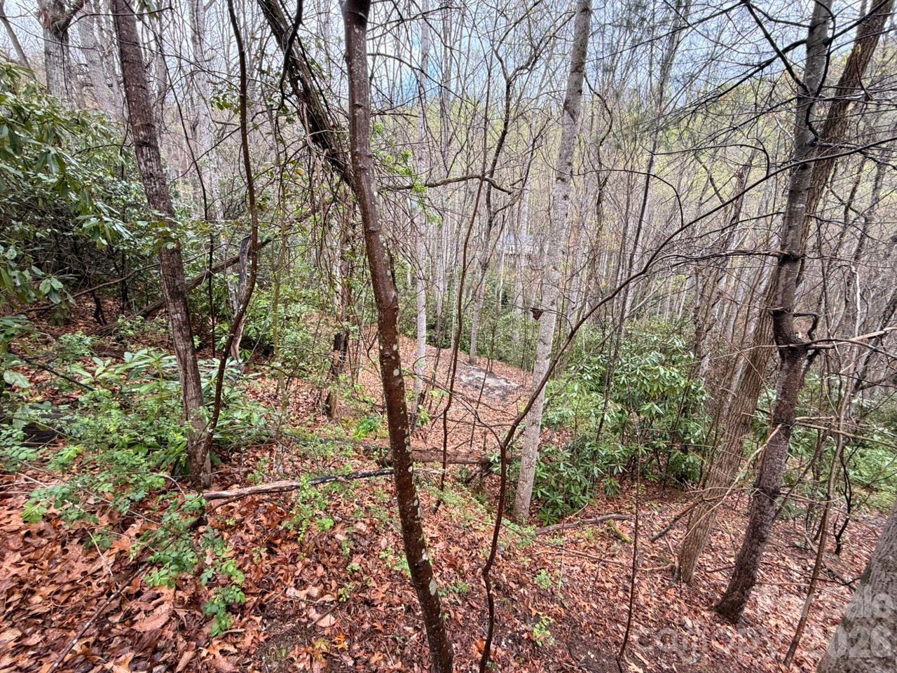 0 Ridgeview Hill Drive Hendersonville, NC 28792 - Photo 10 of 20 a view of a forest filled with trees