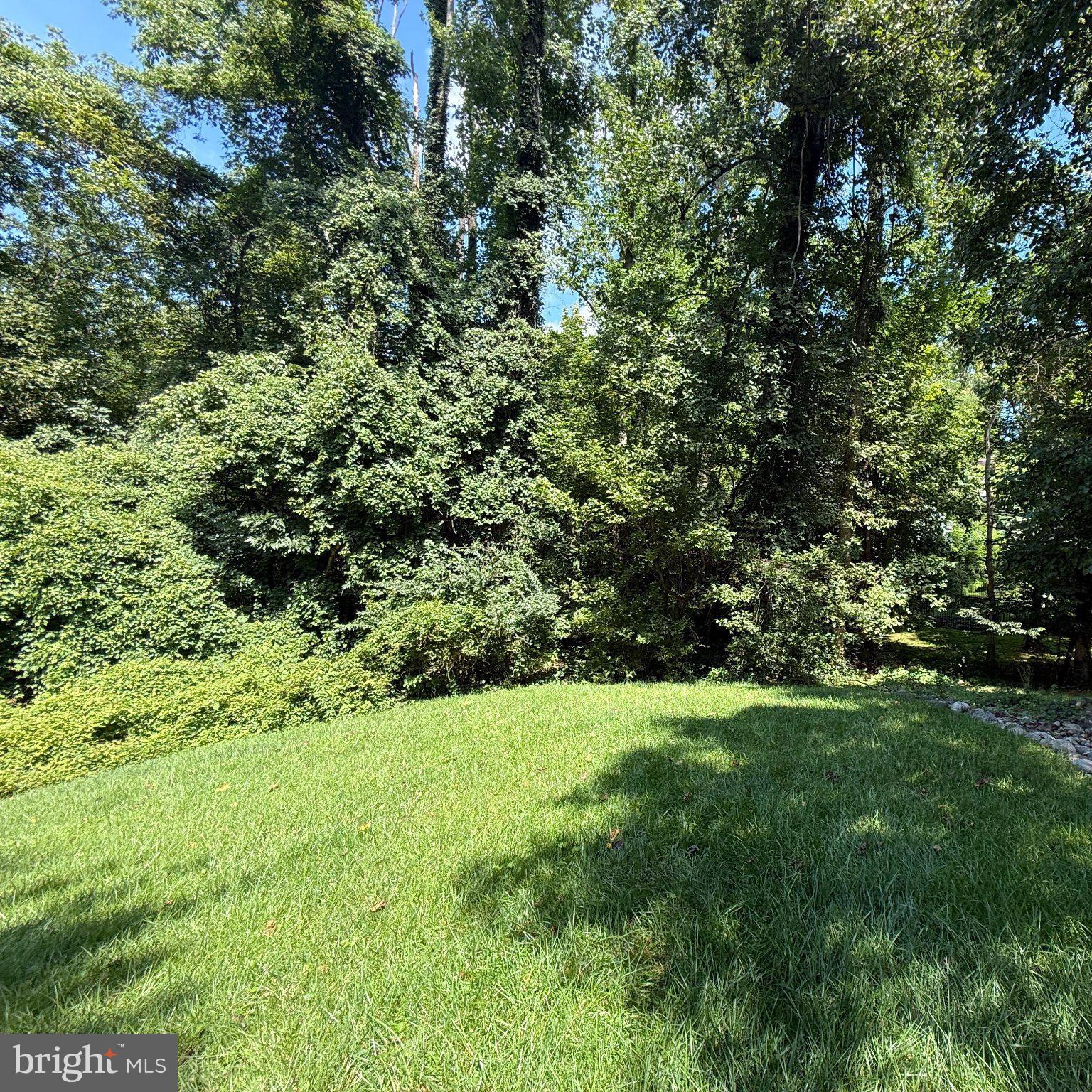 Old Chesterbrook Road McLean, VA 22101 - Photo 6 of 14 Lush green oasis in serene surroundings.