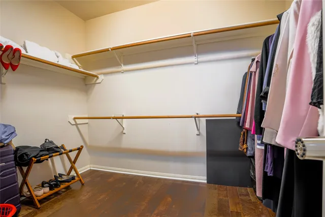 a big yard with plants and large trees