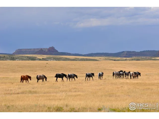 $295,000 | 7625 West County Road 80, Livermore, CO 80536