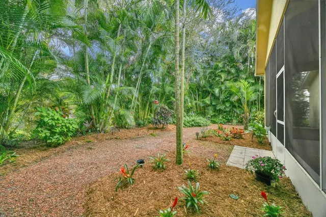 a view of backyard of the house