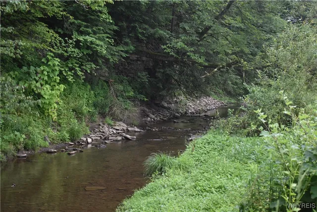 $60,000 | 8787 Highway 242, Little Valley, NY 14755