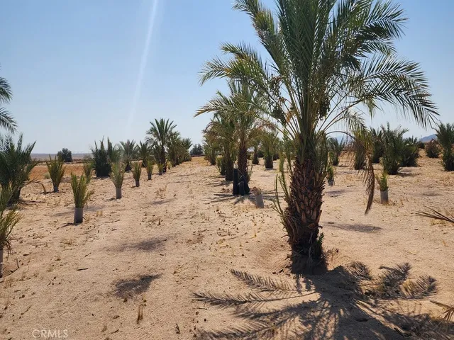 a kitchen with refrigerator a stove and a refrigerator