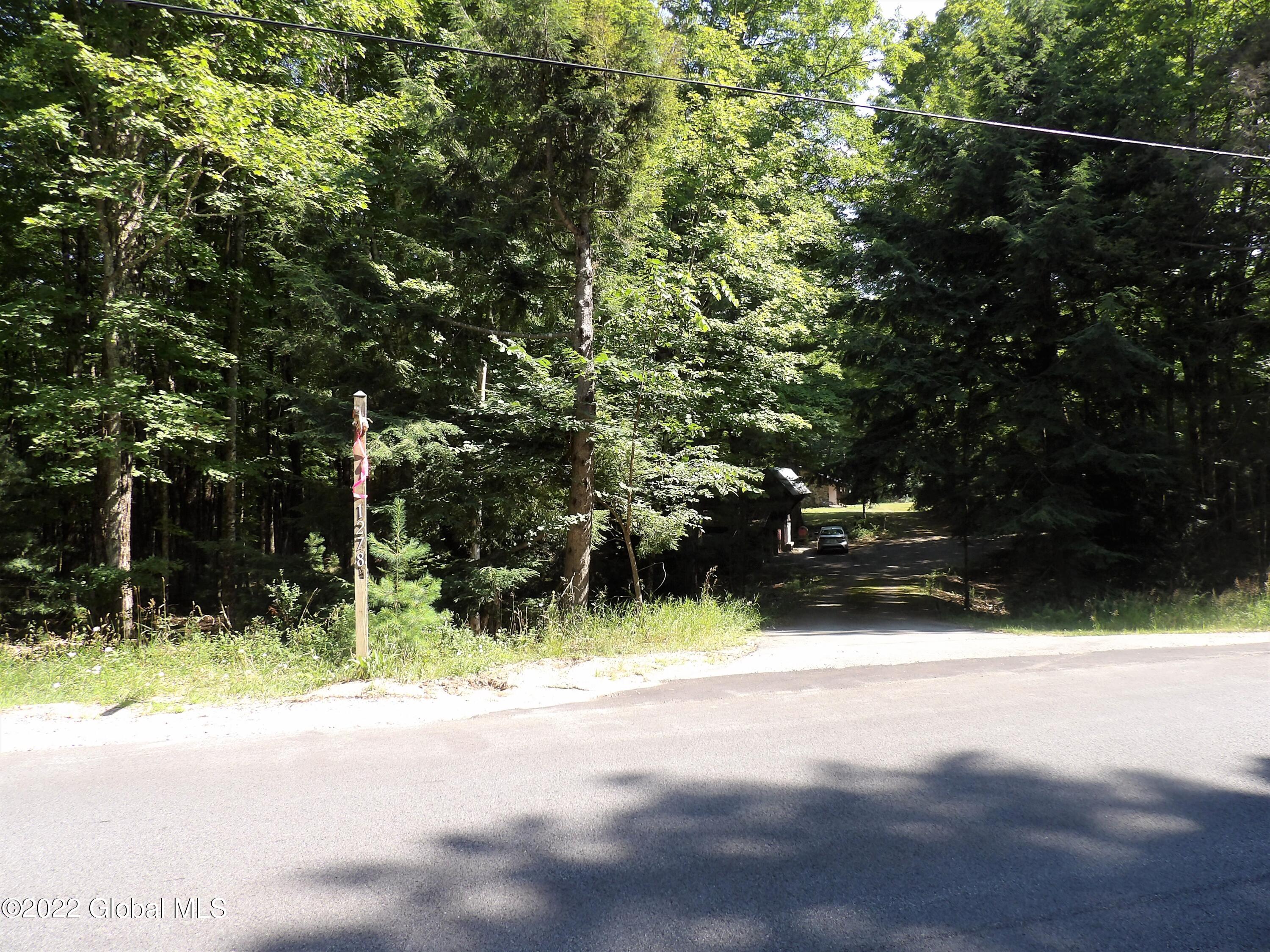 1278 Hadley Hill Road Hadley, NY 12835 - Photo 2 of 36 100_0149